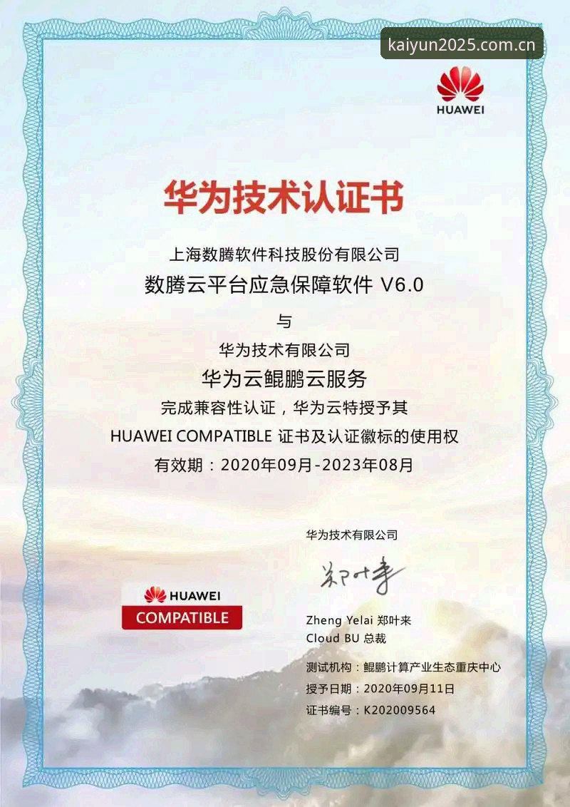 开云体育平台2025创始版，安卓设备兼容性深度评测